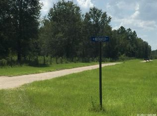850 SW Jasmine St, Fort White, FL 32038