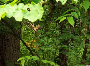 Bruner Grove Rd, Bybee, TN 37713