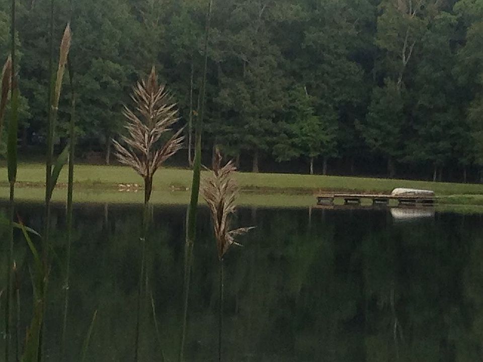 2nd image of 115 Williamson Dr