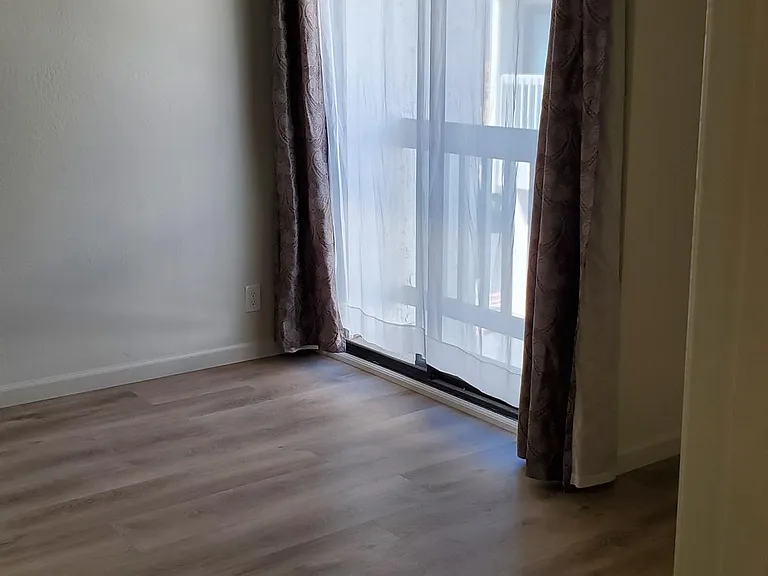 1247 Henderson Ave — Photo 14