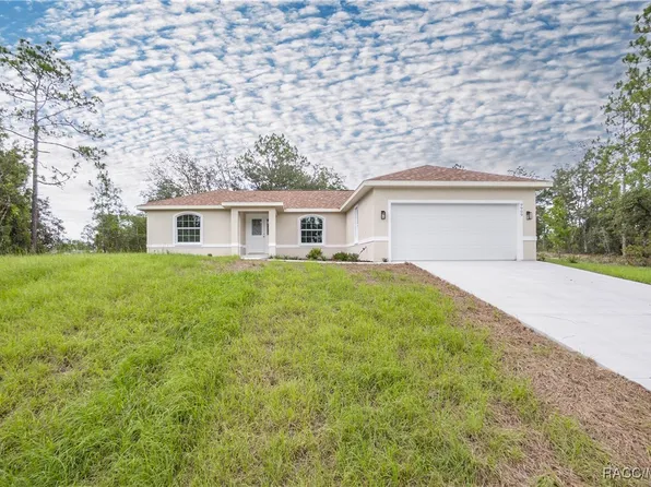 9909 N Dana Way, Citrus Springs, FL 34433