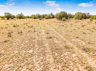 LOT-46B Wooden Ear Ranch Rd, Seligman, AZ 86337