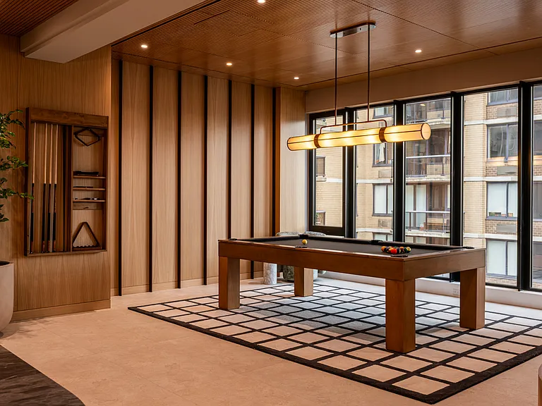 250 W 49th St #22101 — Photo 18