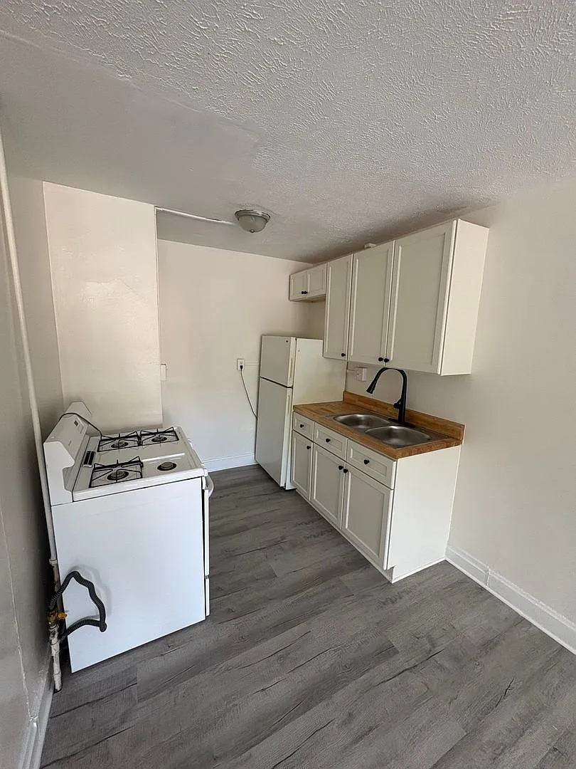 1008 Parsons Ave. — Photo 3