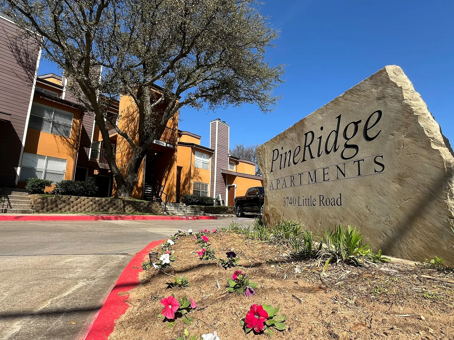 Pine Ridge — Photo 2