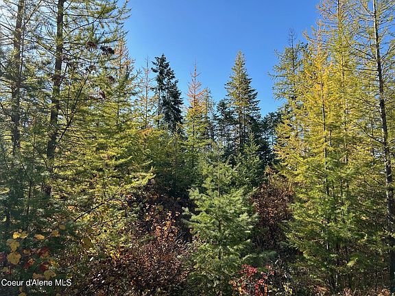 5th image of TRACT Usfs #2222A