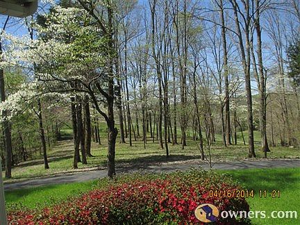 View from front porch