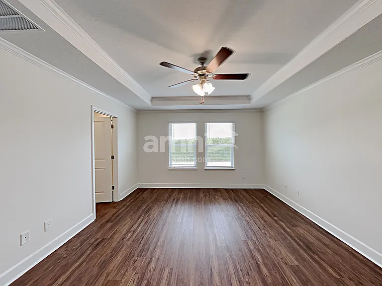 1397 Celery Palm Cv — Photo 13