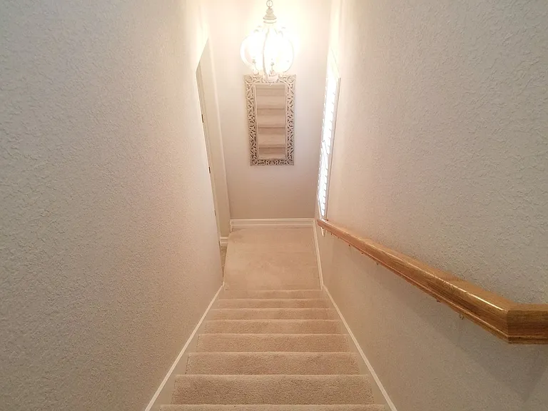 10908 Bullrush Dr — Photo 97