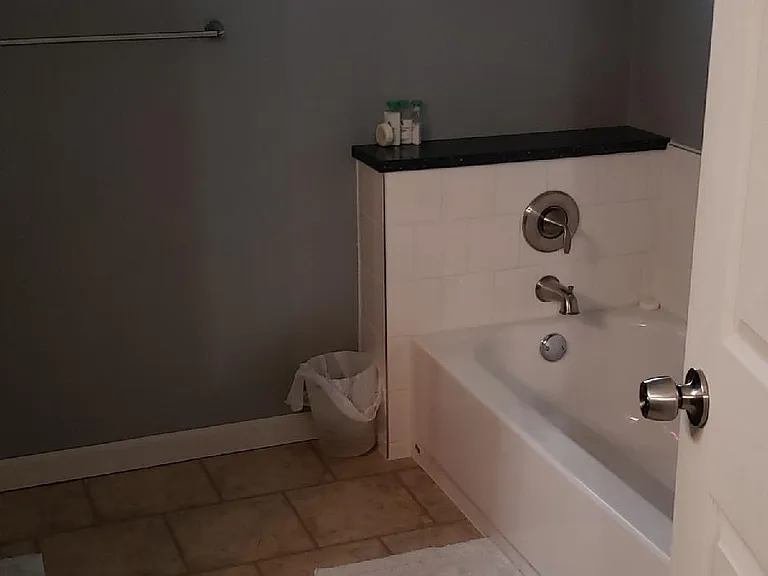 Master Bath Tub