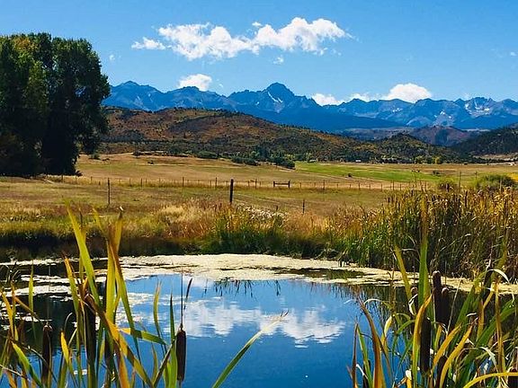 Spring fed pond near house, great wildlife viewing from rear deck