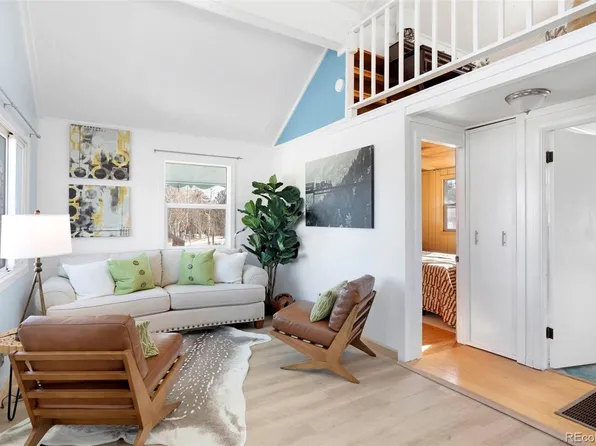 560 S Pine Drive, Bailey, CO 80421