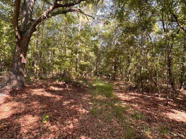 0 Rocky Dr, Colbert, GA 30628