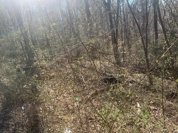 0 Black Oak Estates Rd Lot 62-63, Dayton, TN 37321
