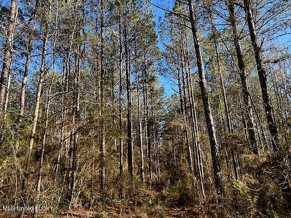 4th image of 1059 Candy Ln