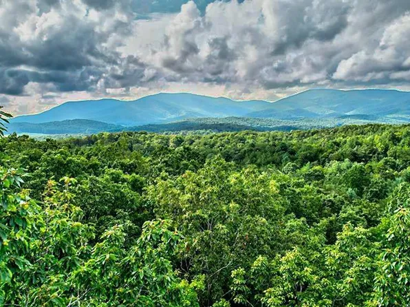 McGruder Rd, Ellijay, GA 30536