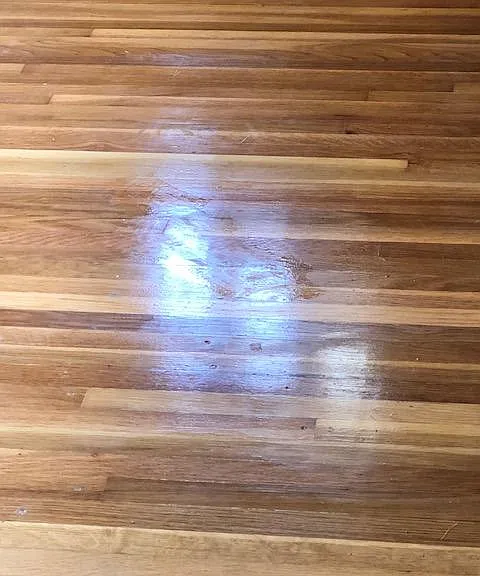 Beautiful hardwood floors throughout the main level