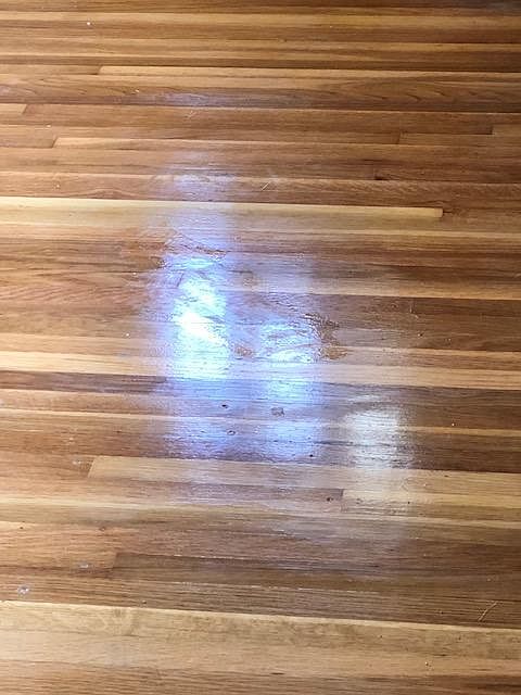 Beautiful hardwood floors throughout the main level