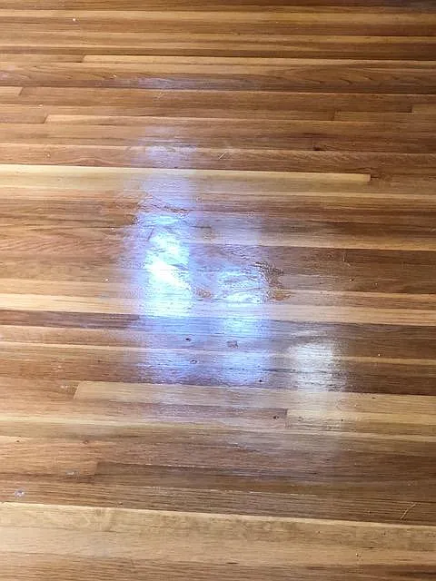 Beautiful hardwood floors throughout the main level