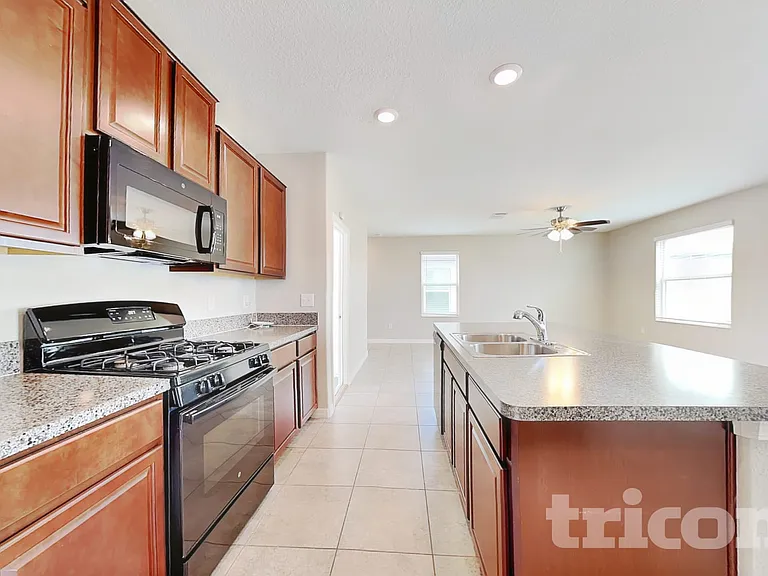 4906 White Chicory Dr — Photo 5