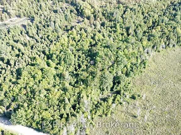 4th image of 2822 Shannon Rd