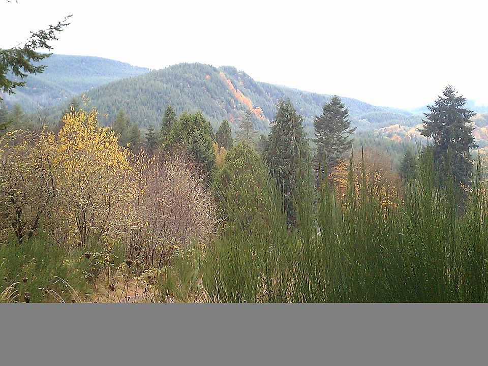 Spectacular hillside views 