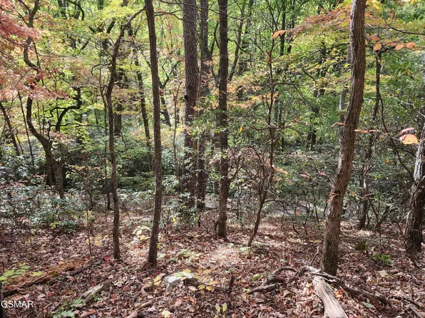 11 Bluff Mtn. Rd., Sevierville, TN 37876