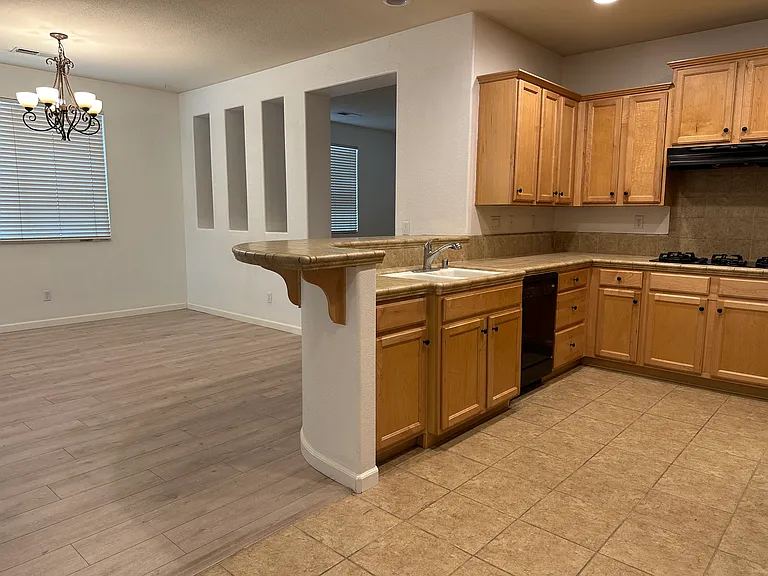 10037 Wild Orchid Way — Photo 11