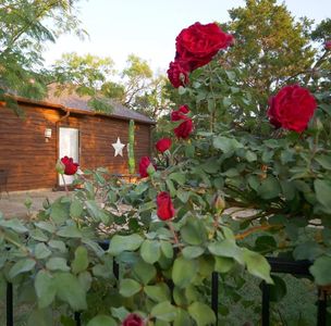 101 Hide Away Dr, Strawn, TX, 76475