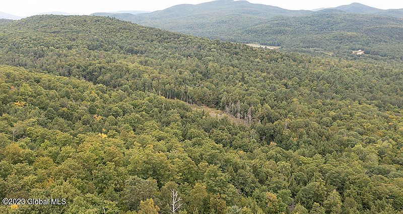 5th image of L40 Mountain Road