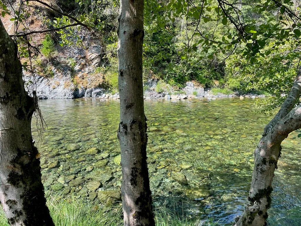 170 Azalea Ct photo 1