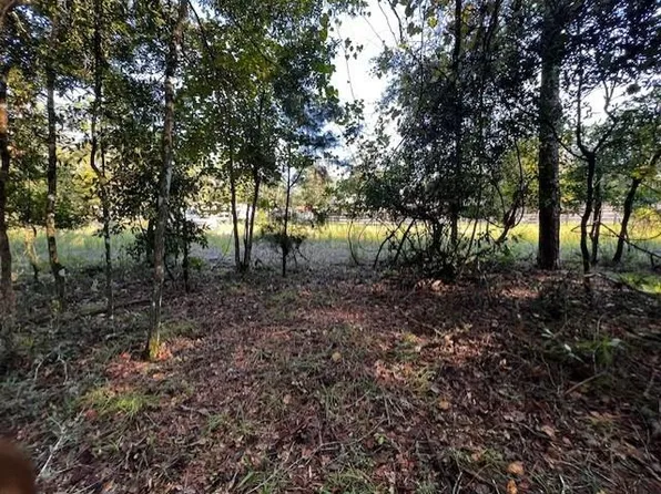  NW 55th St, Bell, FL 32619