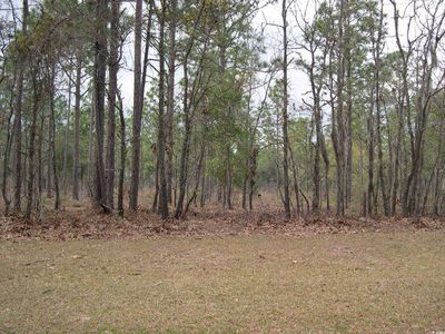 73 Pineberry Dr., Georgetown, SC, 29440