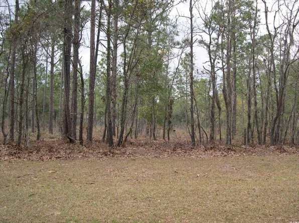 73 Pineberry Dr., Georgetown, SC 29440