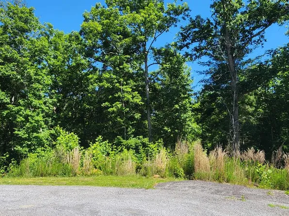LOT 112 Jakes Landing Dr, Ellijay, GA 30540