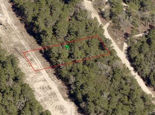 317 Webhill Ave, Inverness, FL 34452