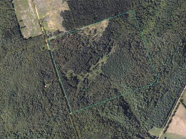 LOT S Gowland Mountain Rd, Elgin, NB E4Z 1T1