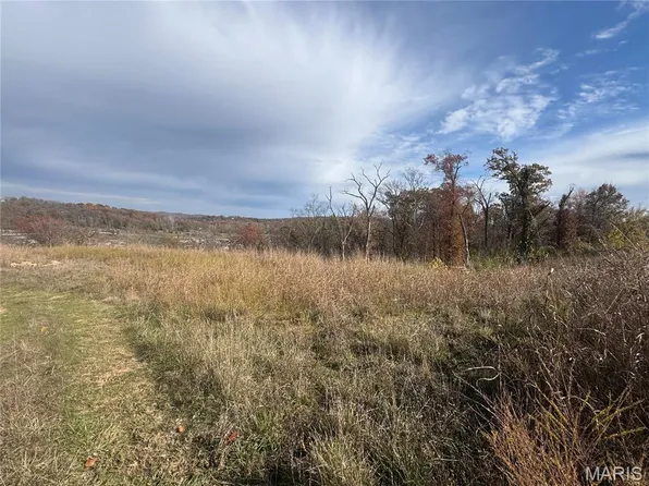 125 W North St, Eureka, MO 63025