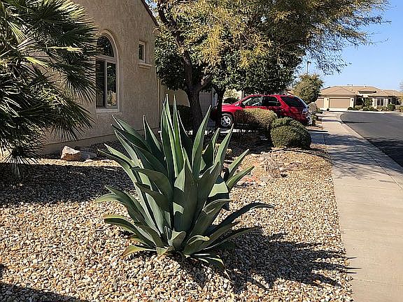 5th image of 20300 N 272nd Ln