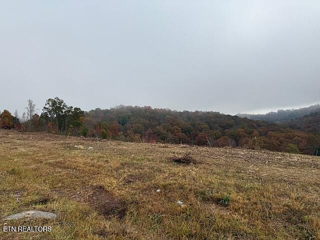2nd image of Pinnacle Ln