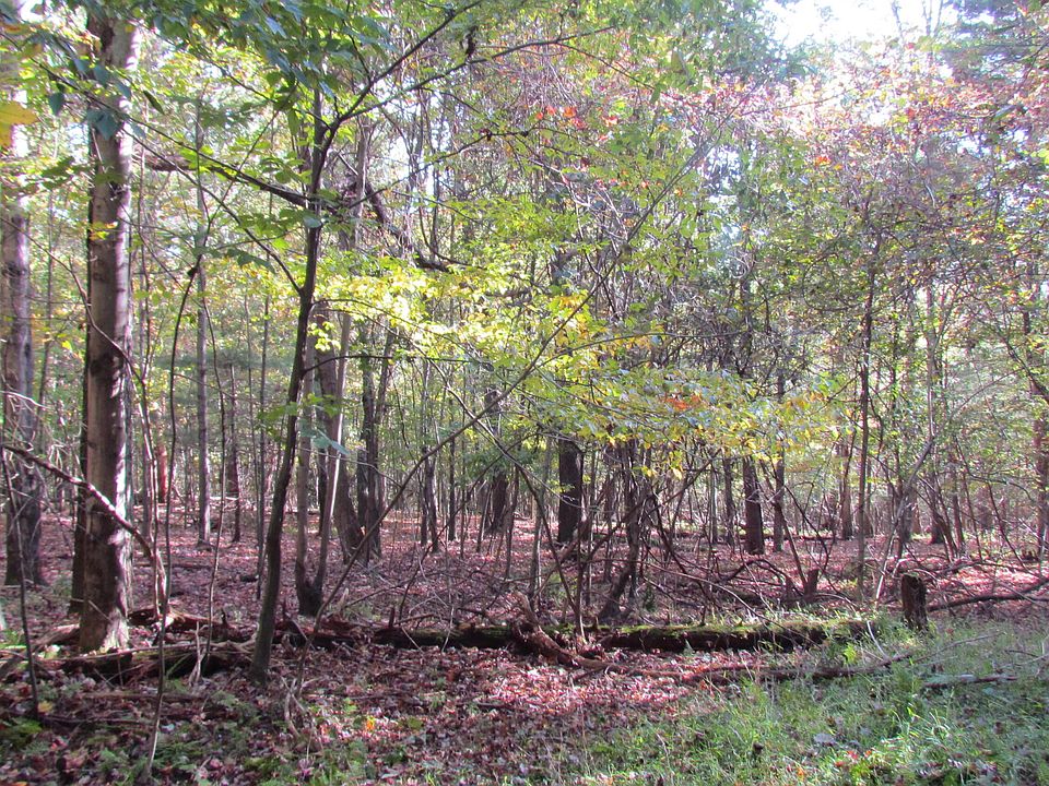 0 Winkler Rd, Huntington Mills, PA 18622 MLS 2095487 Zillow