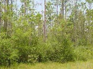 1st image of 2004 Copley Dr