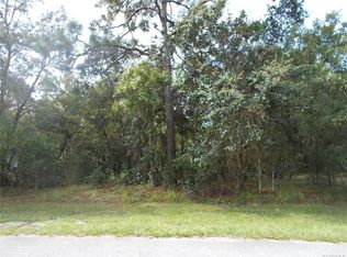 1574 E Saint James Loop, Inverness, FL 34453