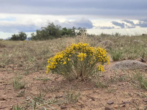 Vl Willow Springs Rnch Lot 2-9, San Antonio, NM 87832
