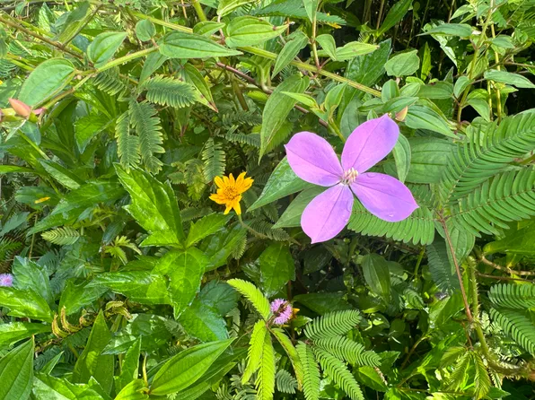 16-2105 Stardust Dr Lot 47, Pahoa, HI 96778