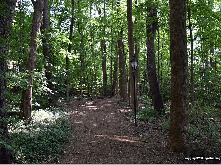 8350 Greensboro Dr #1017 — Photo 20