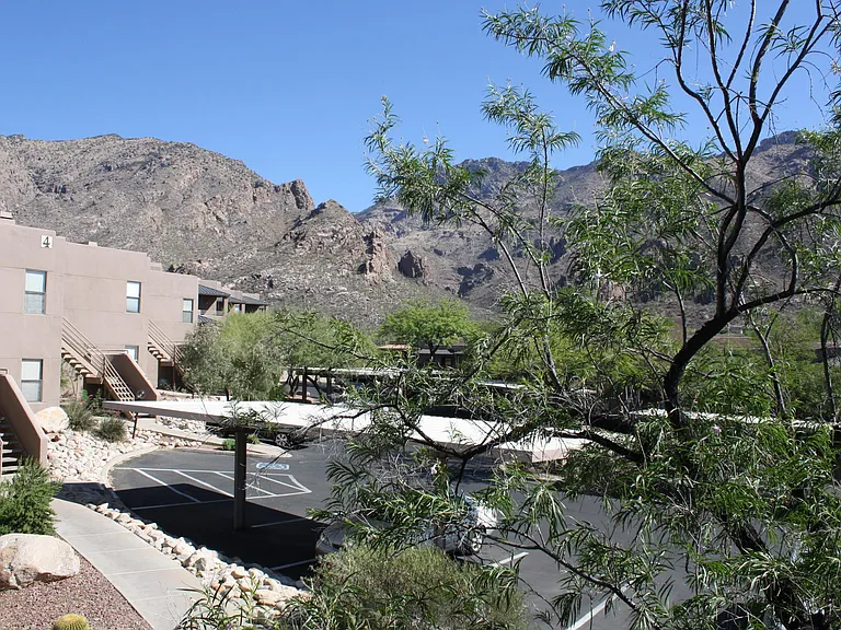 6655 N Canyon Crest Dr #3216 — Photo 12