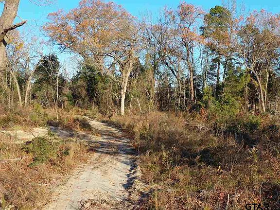 3rd image of 0 County Road 2540