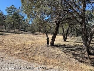 3rd image of 137 Wood Ln
