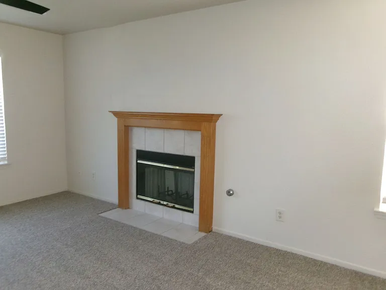 218 Idlewild Dr — Photo 8